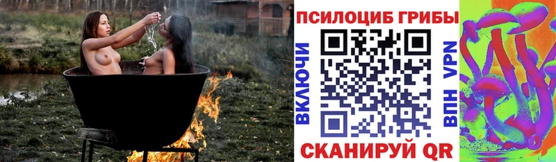 Псилоцибиновые грибы мицелий  купить закладку  Минусинск 