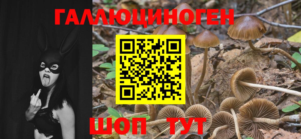 Псилоцибиновые грибы Magic Shrooms Минусинск